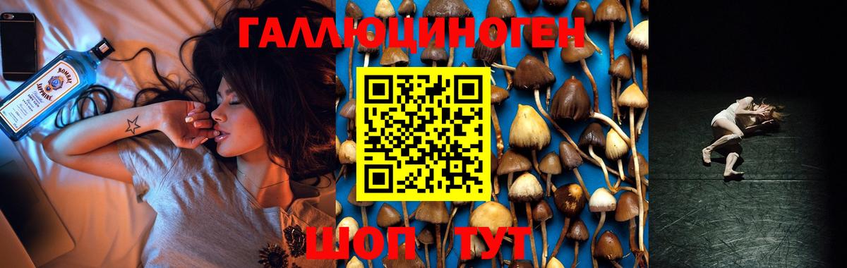 Псилоцибиновые грибы Magic Shrooms  Вход с VPN  Партизанск  Псилоцибиновые грибы MAGIC MUSHROOMS 